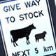 Cattle Signs
